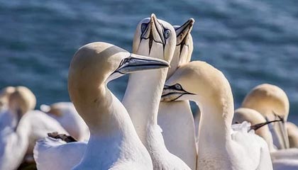 塔城最新怎么提现公积金卡里的钱方法分析(最方便真实的塔城怎么将公积金提现方法)