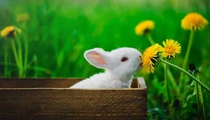 塔城最新公积金卡提取现金方法app方法分析(最方便真实的塔城公积金卡怎样从手机里取出来?方法)